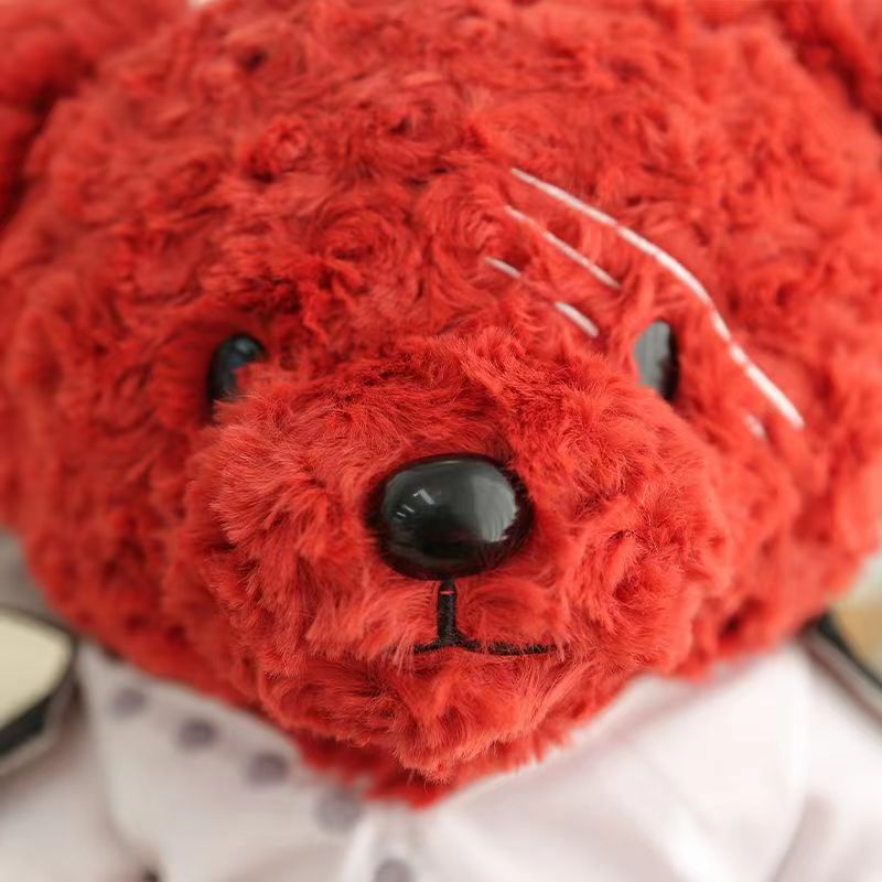 Shanks Teddy Bear peluche ours poupée (peut envoyer des amis envoyer des parents envoyer des amoureux)